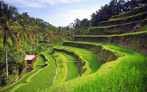 Bali that chooses us, the magical place HOME